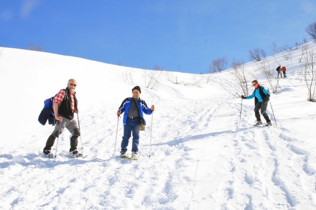joux plane11