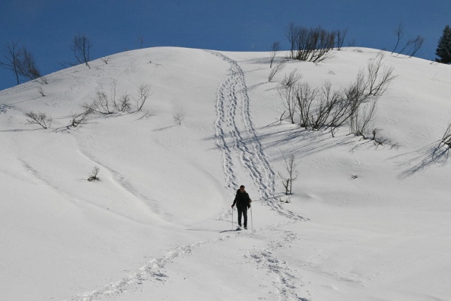 joux plane8