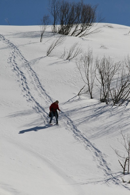 Joux plane 1