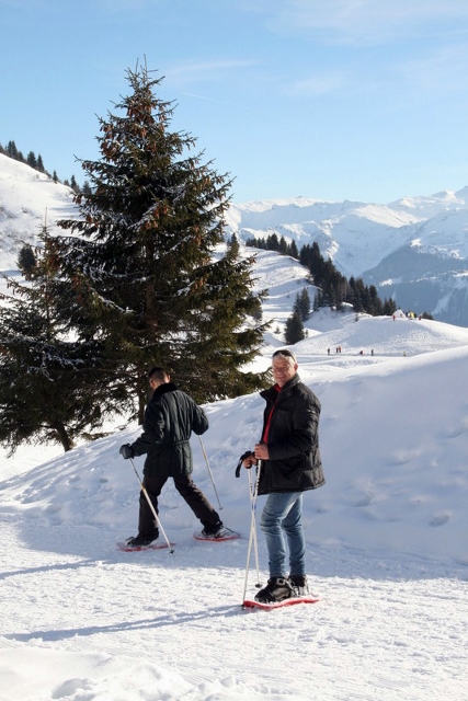 Joux Plane